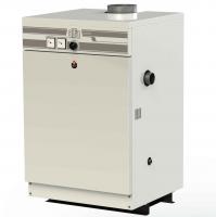 Котел газовый ACV Alfa Comfort 30 (22 кВт) (напольный, одноконтурный, дымоход) (04531501)